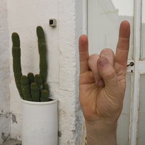 Hand Cactus by Brad Downey | Akay