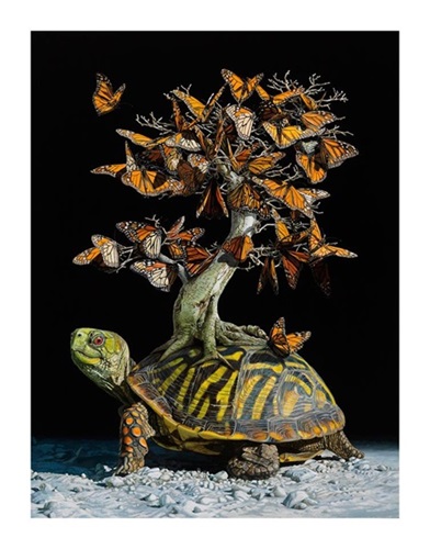 Migration  by Lisa Ericson