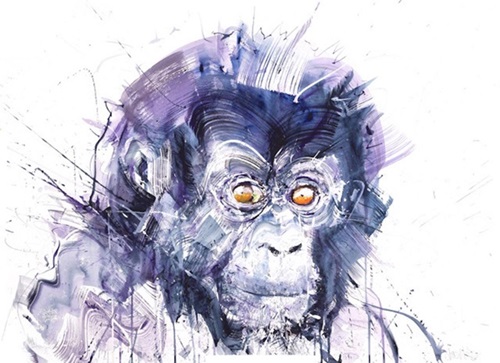 Baby Gorilla  by Dave White