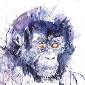 Baby Gorilla by Dave White