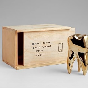 Brass Tooth (First Edition) by David Shrigley