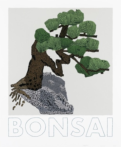 Bonsai  by Jonas Wood