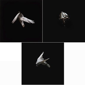 Misere / Miserere Print Set #1 by Jeremy Geddes