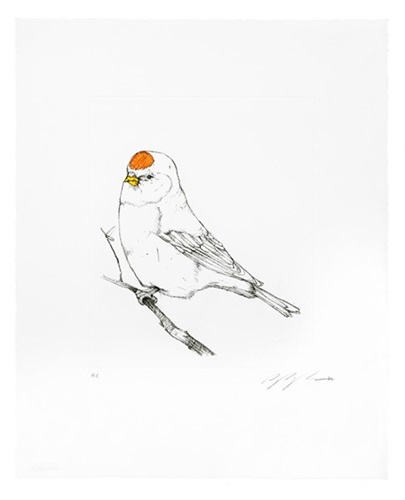 Perturbed Bird  by Sage Vaughn