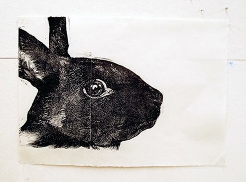 Black Rabbit  by Gaia