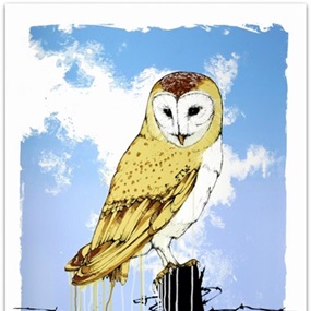 Owl by Sage Vaughn