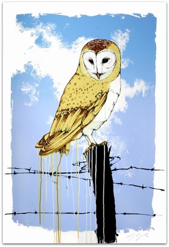 Owl  by Sage Vaughn