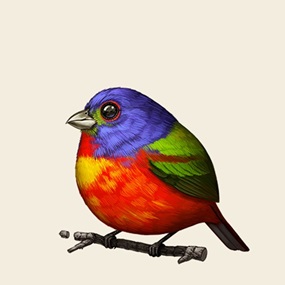 Fat Bird - Painted Bunting by Mike Mitchell