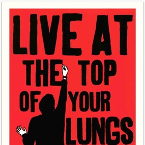Lungs by Morley