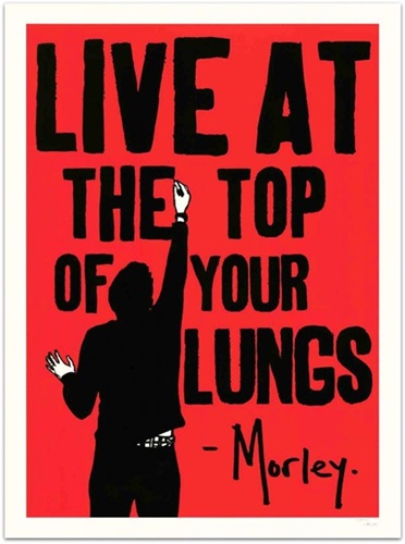 Lungs  by Morley