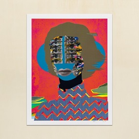 Prismatic Visions by Paul Insect