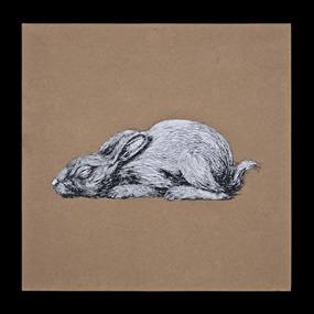 Year Of The Rabbit (Time To Exit) (Brown Card Sleeve) by ROA