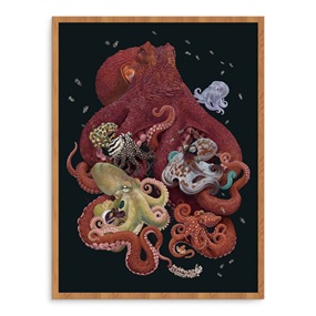 Octopodes by Zoe Keller
