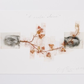 A occhi chiusi (With Closed Eyes) by Giuseppe Penone