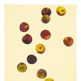 Waxing Star by Anya Gallaccio