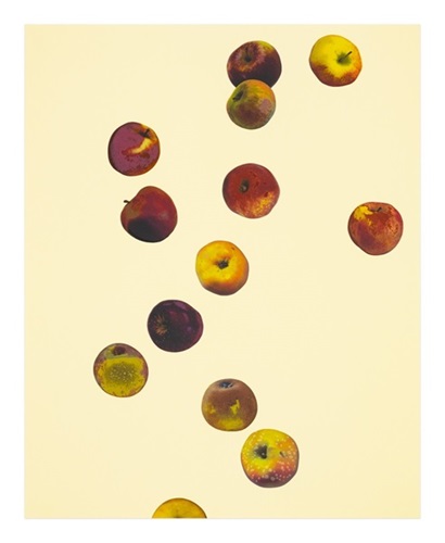 Waxing Star  by Anya Gallaccio