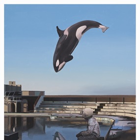 Orca by Scott Listfield
