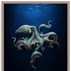 Chromatic Intellect (Abyss Edition) by N.C. Winters