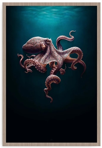 Chromatic Intellect (Coastal Edition) by N.C. Winters