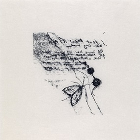 Moth by Tracey Emin
