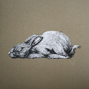 Year Of The Rabbit (Time To Exit) (Light Grey Card Sleeve) by ROA