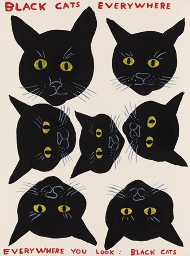 Black Cats (First Edition) by David Shrigley