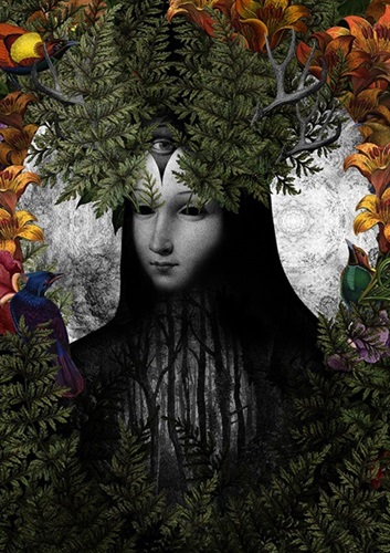 New Growth In The Old Forest  by Dan Hillier