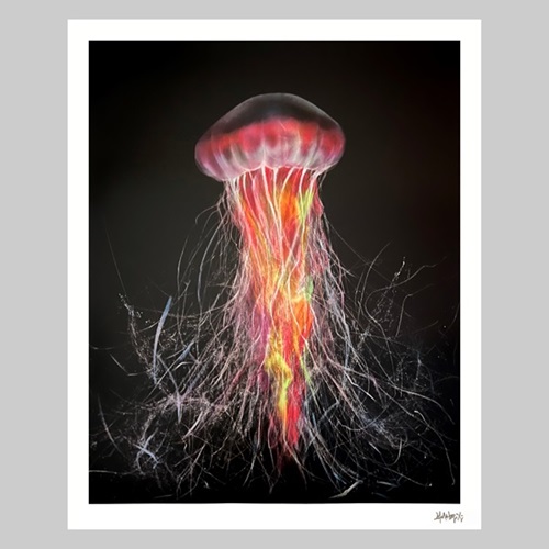 Cnidarians.1  by L7M