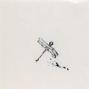 Dragon Fly by Tracey Emin