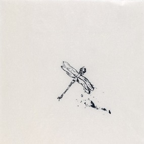 Dragon Fly by Tracey Emin