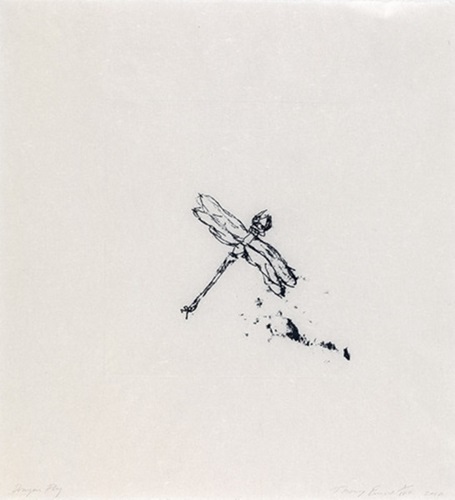 Dragon Fly  by Tracey Emin