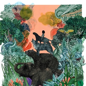 The Jungle Book by Lucille Clerc