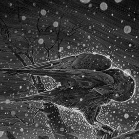Winterreise (Metallic Variant) by Nicolas Delort