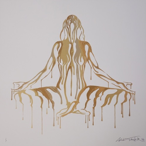 Psychameleon Transcendence (Gold) by Shane Turner