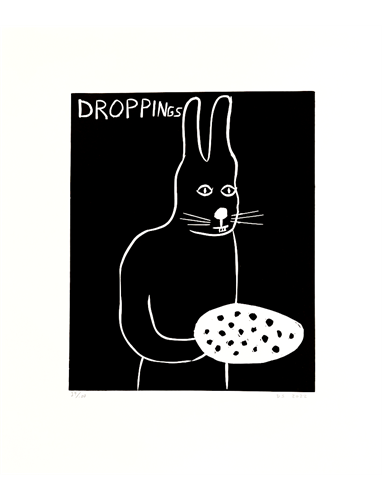 Droppings (First Edition) by David Shrigley