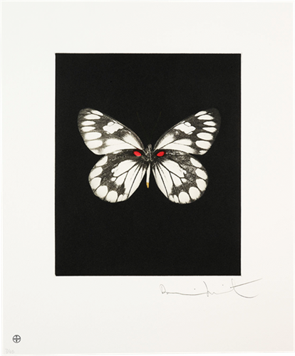 Regeneration  by Damien Hirst