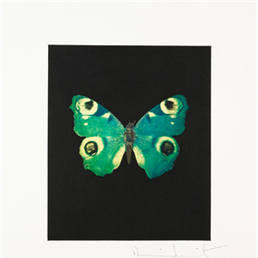 Fate by Damien Hirst