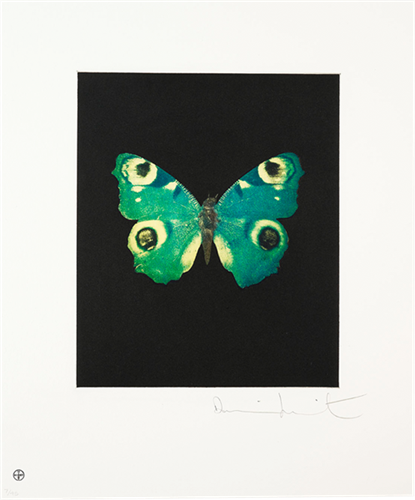 Fate  by Damien Hirst