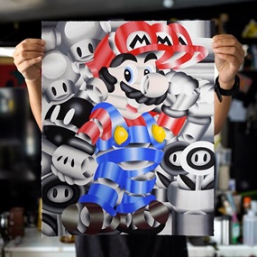 Mario Wonderland by Geoffrey Bouillot