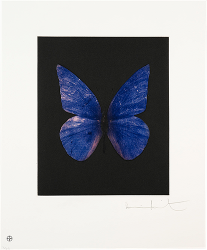 Renewal  by Damien Hirst