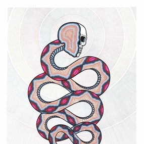 Cosmic Snake II by David Cook
