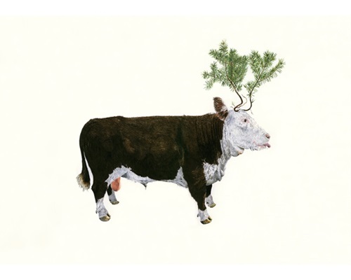 Bull & Spruce  by Adam Batchelor