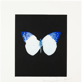 Life by Damien Hirst