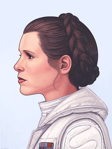 Princess Leia  by Mike Mitchell