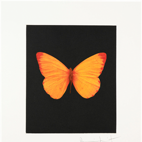 Hope by Damien Hirst