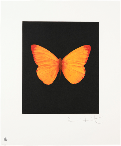 Hope  by Damien Hirst