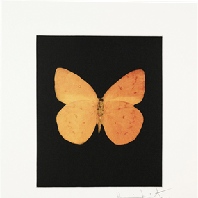 Prosperity by Damien Hirst