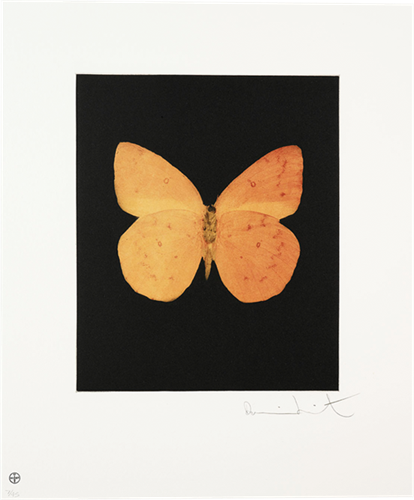 Prosperity  by Damien Hirst