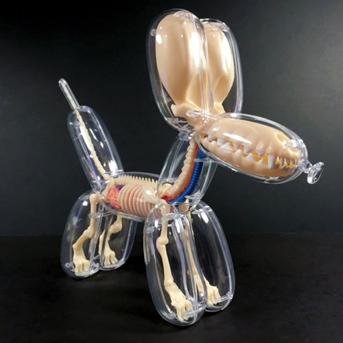 Balloon Dog Anatomy (First Edition) by Jason Freeny