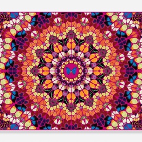 H18-1 Harlequin by Damien Hirst